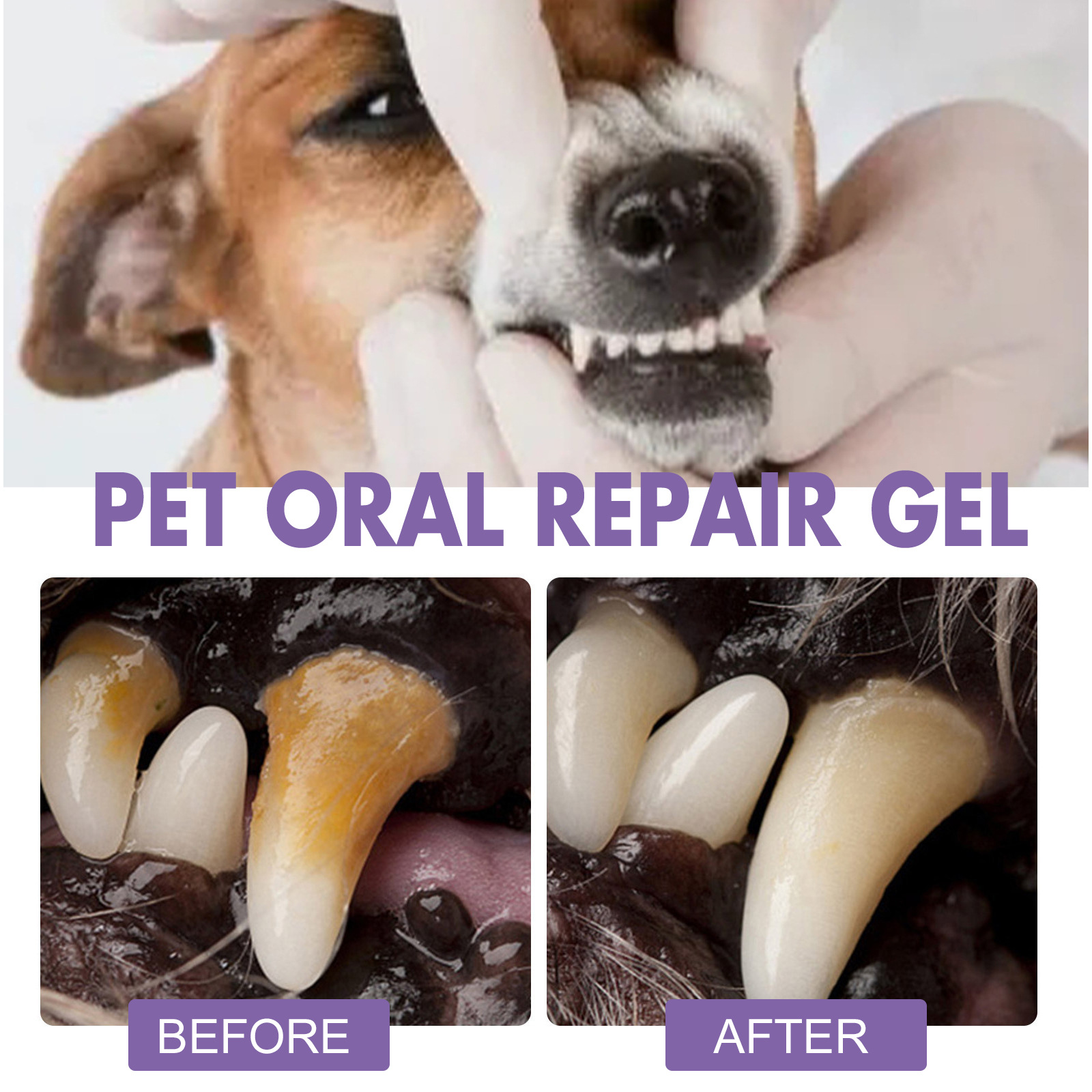Pet Oral Onarım Jeli Yavru Tar - Teeth Whitening Near Me incelemesi ve fiyatı
